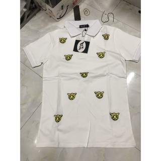 Áo phông polo BBR