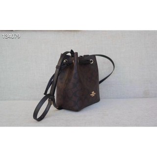 TÚI COACH MINI