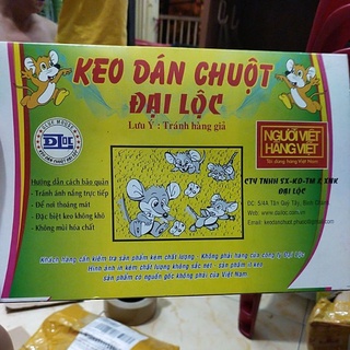 Combo 5 miếng  keo dán chuột  bình  đại Lộc