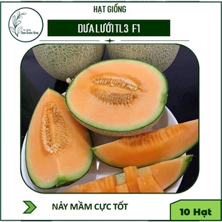10 Hạt Giống Dưa Lưới TL3 F1