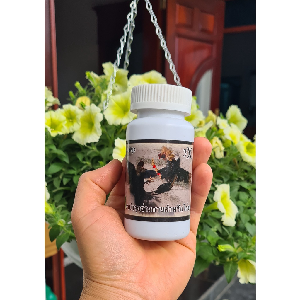 (Kích 3x Sản phẩm kích Lực cho gà trước Đá)  kích 3X cung cấp dinh dưỡng cho gà 7 ngày cuối trước khi đá. lọ 100 viên