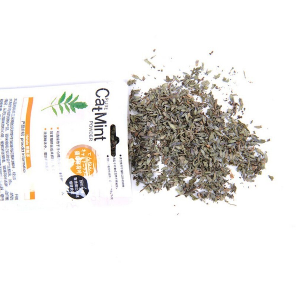 Cỏ Bạc Hà CatMint Cho Mèo Gói 5g