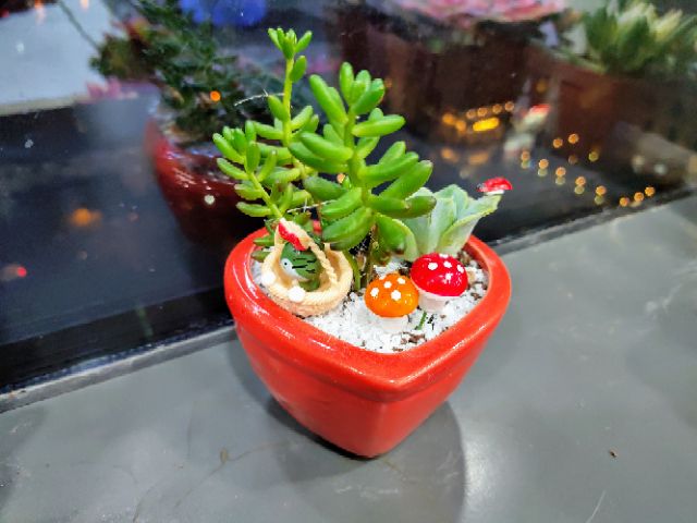 Chậu trồng cây mini hình trái tim (màu ngẫu nhiêu)