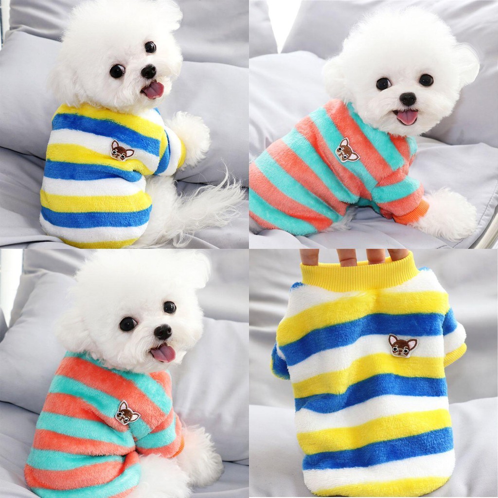 Vật nuôi đặc biệt Teddy Bichon Pomeranian Schnauzer Poodle Yorkshire Terrier Chó nhỏ Mèo con sữa Quần áo