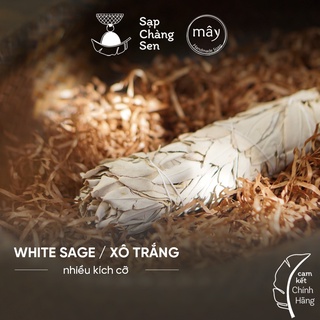 White sage (xô trắng, thảo dược xông nhà) - nhiều kích thước