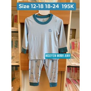 BỘ CVD PETIT XANH LƠ NHẠT NOUS 2020
