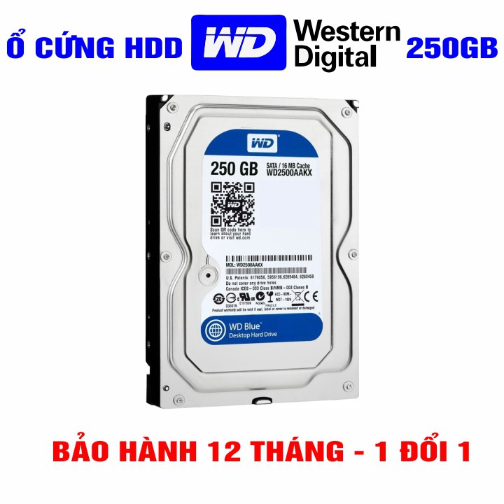 Ổ cứng PC 3.5” Western Digital 250GB - Chính Hãng - Tháo máy đồng bộ mới 99% - Bảo hành 12 tháng - HDD WD xanh