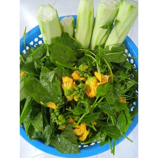 khô đù đù (1kg 150k,0,5kg 75k)