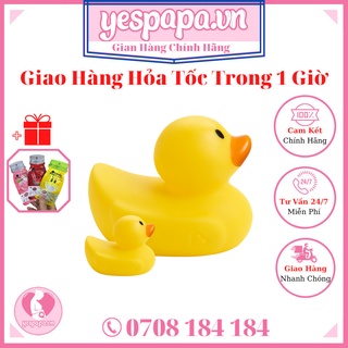 Vịt vàng báo nóng munchkin mỹ yespapa.vn