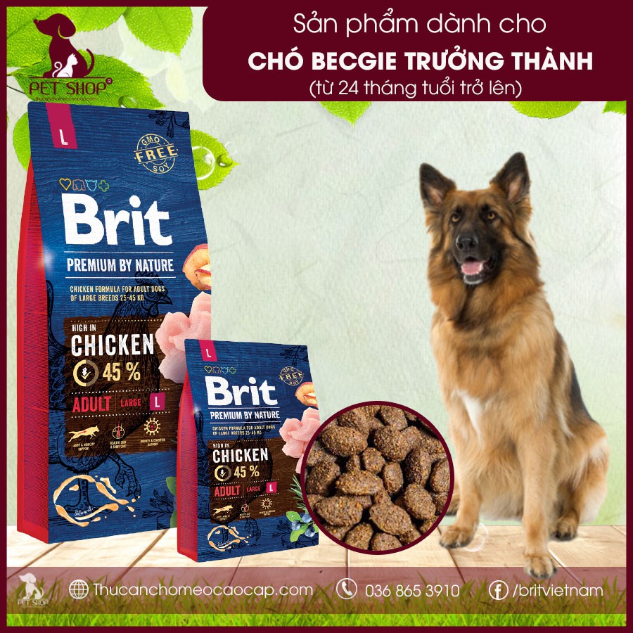Thức Ăn Cho Chó Becgie Giai Đoạn Từ 24 Tháng Tuổi Trở Lên Brit Premium by Nature Adult L 15Kg