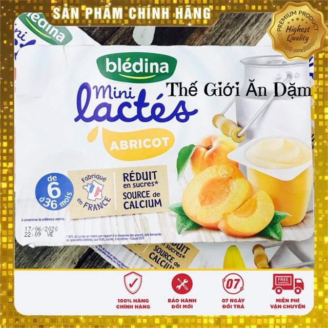 sữa chua Bledina Pháp 6m 12m ( Mẫu Mới)