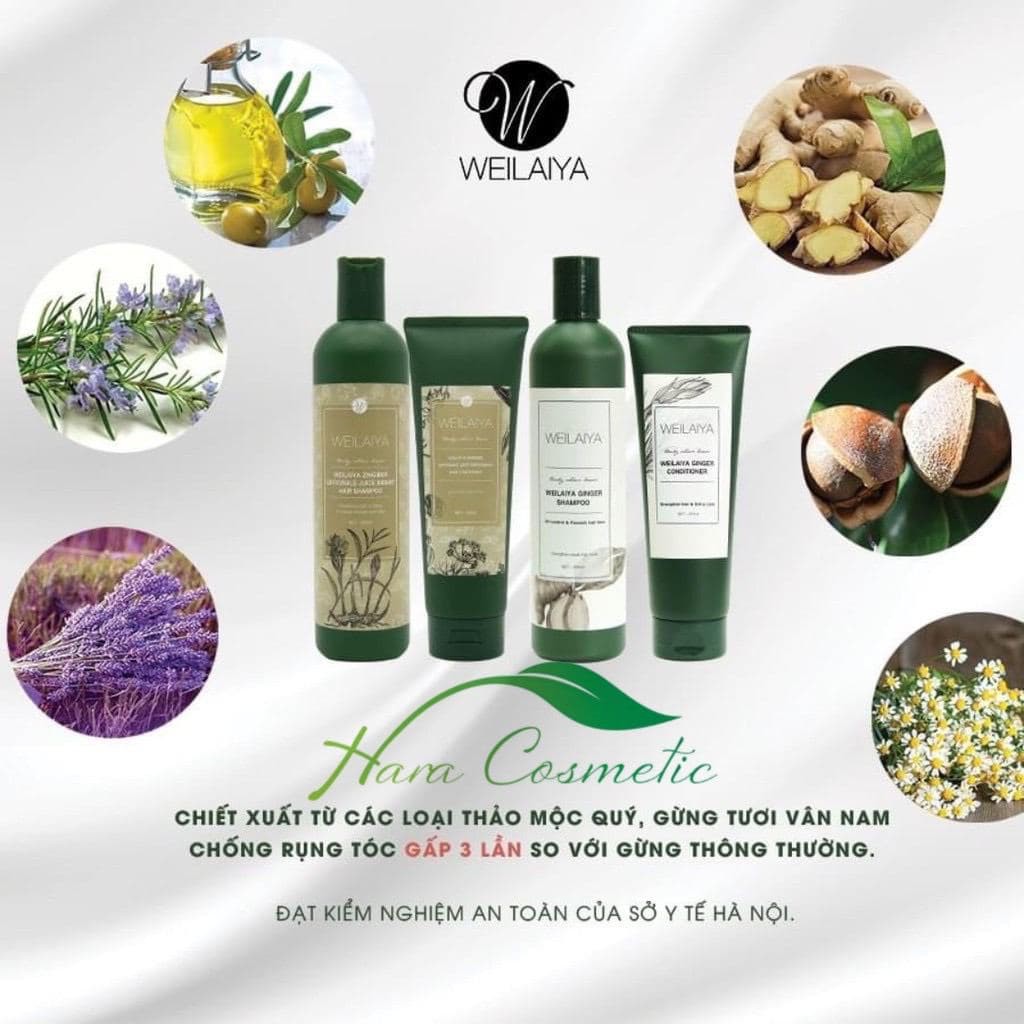 Bộ Dầu Gội Xả Gừng & Gừng Thuốc Bắc | BigBuy360 - bigbuy360.vn