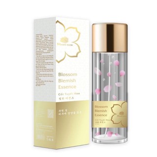 CỐT TUYẾT HOA MAIC SKIN