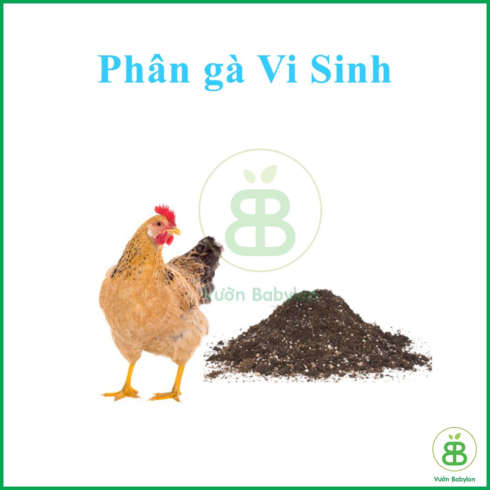 PHÂN GÀ ĐÃ QUA XỬ LÝ 2KG Phân Gà Vi Sinh Ủ Hoai Bổ Sung Vi Sinh Vật Cho Đất