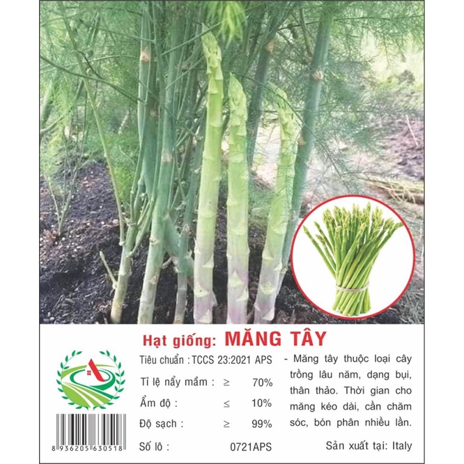 Gói hạt giống măng tây