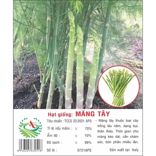 Gói hạt giống măng tây