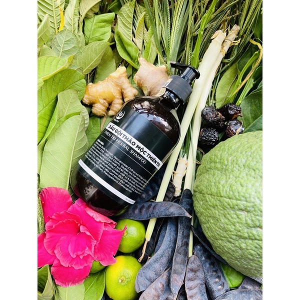 DẦU GỘI THẢO MỘC THIÊN TRI 500ml