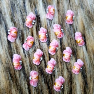 HOA BỘT - HOA NỔI GẮN MÓNG