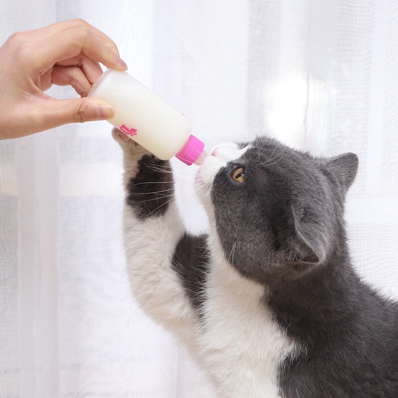 Bình ti sữa dành cho Chó Mèo con - Dung tích 60ml ChunChut PetShop