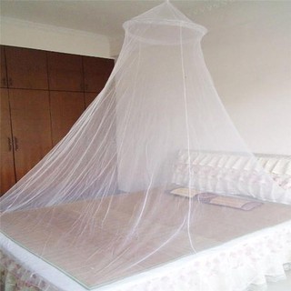 Mùng Tròn Cung Đình Mosquitoxz