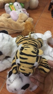 Cọp và sư tử, chó bông. 