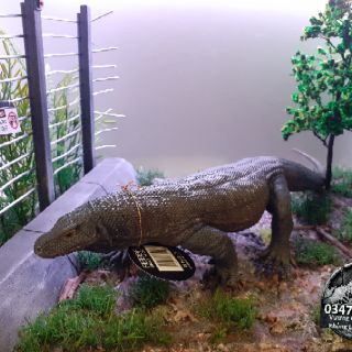 Mô hình rồng Komodo hãng Rebor
