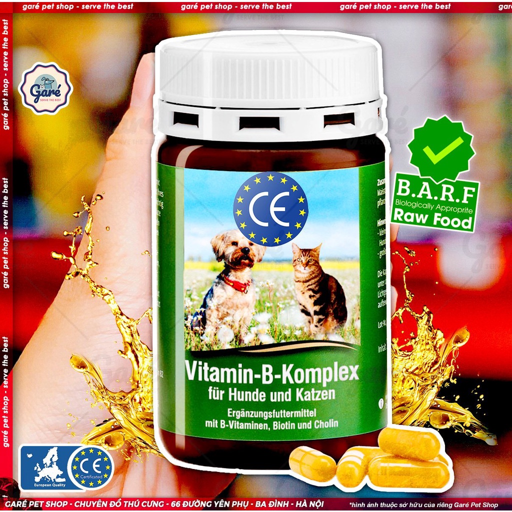 Hộp 120 viên Vitamin B Komplex phức hợp vitamin B cho Chó Mèo hỗ trợ thần kinh, da sáng bóng, hỗ trợ gan
