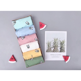 combo 100k 3 bộ Thun lạnh hàng  peekapoo và minky mom