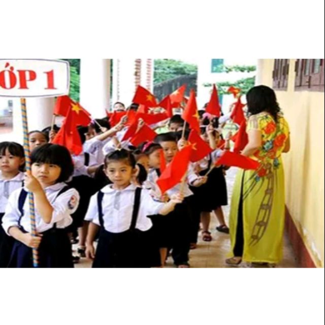 Sỉ 100 cờ cầm tay