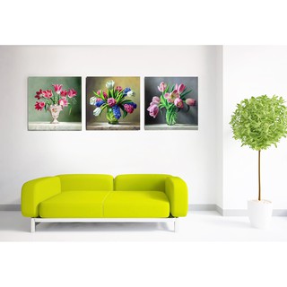 bộ 3 tranh 40x40cm hoa tulip