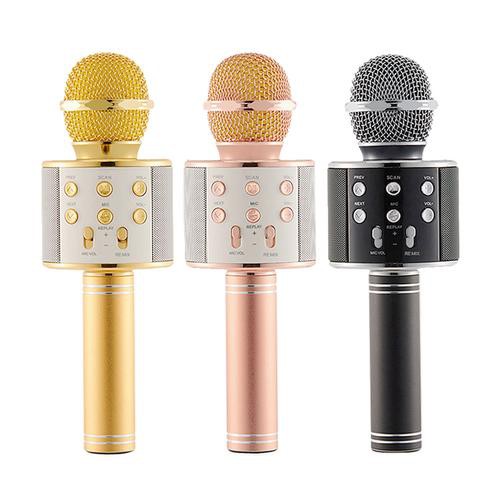 Micro hát karaoke cho trẻ em
