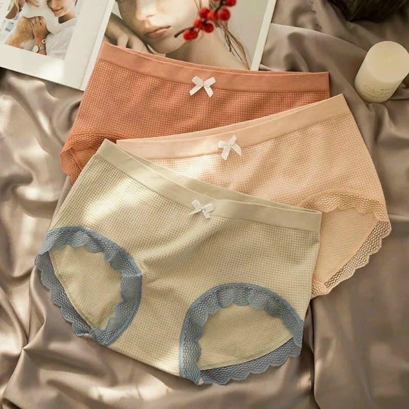 Quần Lót Nữ Cotton Thông Hơi Co Giãn 4 Chiều Sợi Bông Viền Ren Cao Cấp 3312 đủ màu