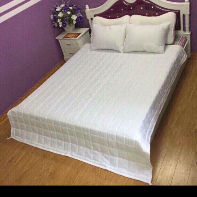 Ruột chăn bông tấm 2m x 2m2 ( có làm theo yêu cầu )