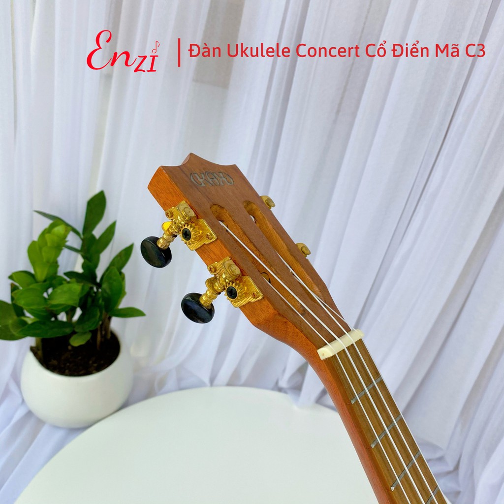 Đàn ukulele concert size 23  mã C3 Enzi kiểu dáng cổ điển khóa xịn, chất lượng âm thanh tuyệt hảo