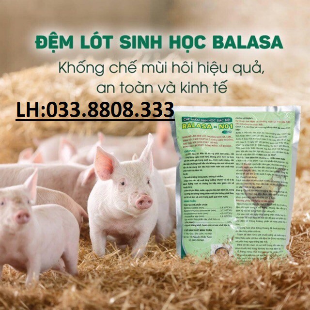 1kg  CHẾ PHẨM SINH HỌC BALASA NO1  - Được dùng làm đệm lót trong chăn nuôi cho các loại vật nuôi- Sử dụng sả