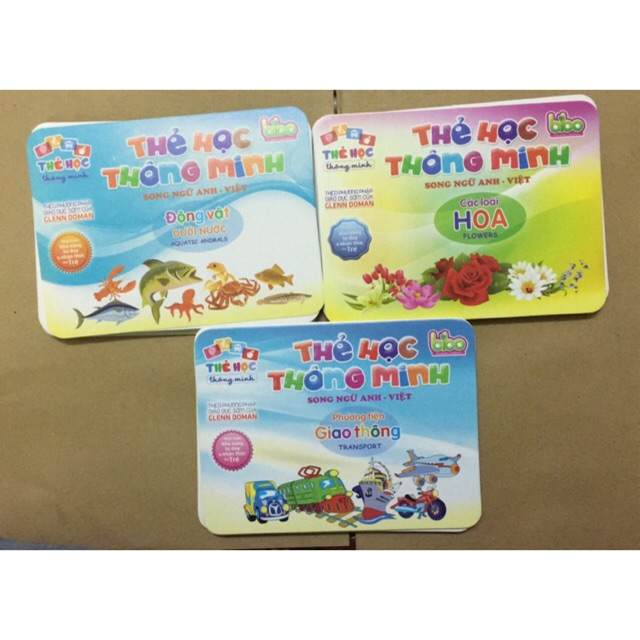 Flash card cho bé - Combo 11 bộ thẻ học thông minh ( mỗi bộ gồm 20 thẻ ) ( BIBO )