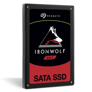 Ổ cứng SSD Seagate IronWolf 110 240Gb ZA240NM10011