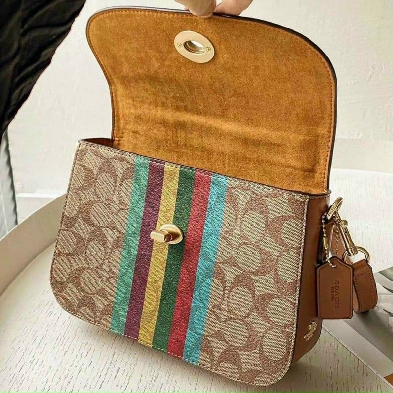 Túi COACH 💗