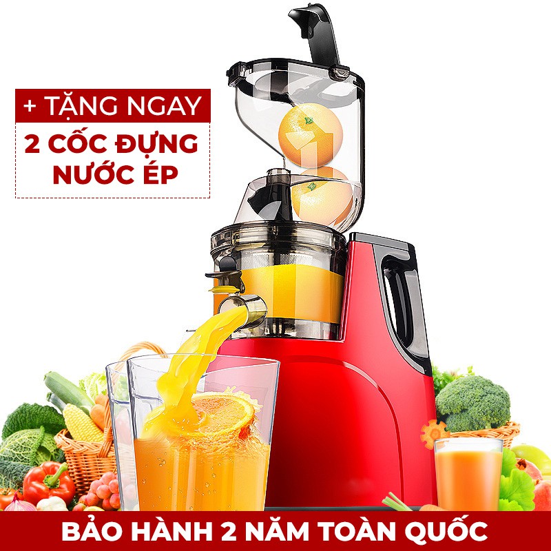 MÁY ÉP CHẬM HONGXIN RH312 MẪU MỚI 2020