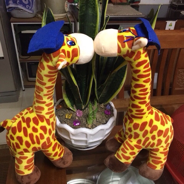 Gấu bông hình chú hươu cao cổ hàng khuyến mại từ hãng sữa ABBOT