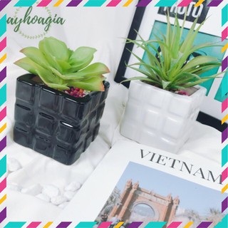 Chậu sứ mini rubik men ngọc cao cấp trồng xương rồng, sen đá hoặc cây cảnh mini