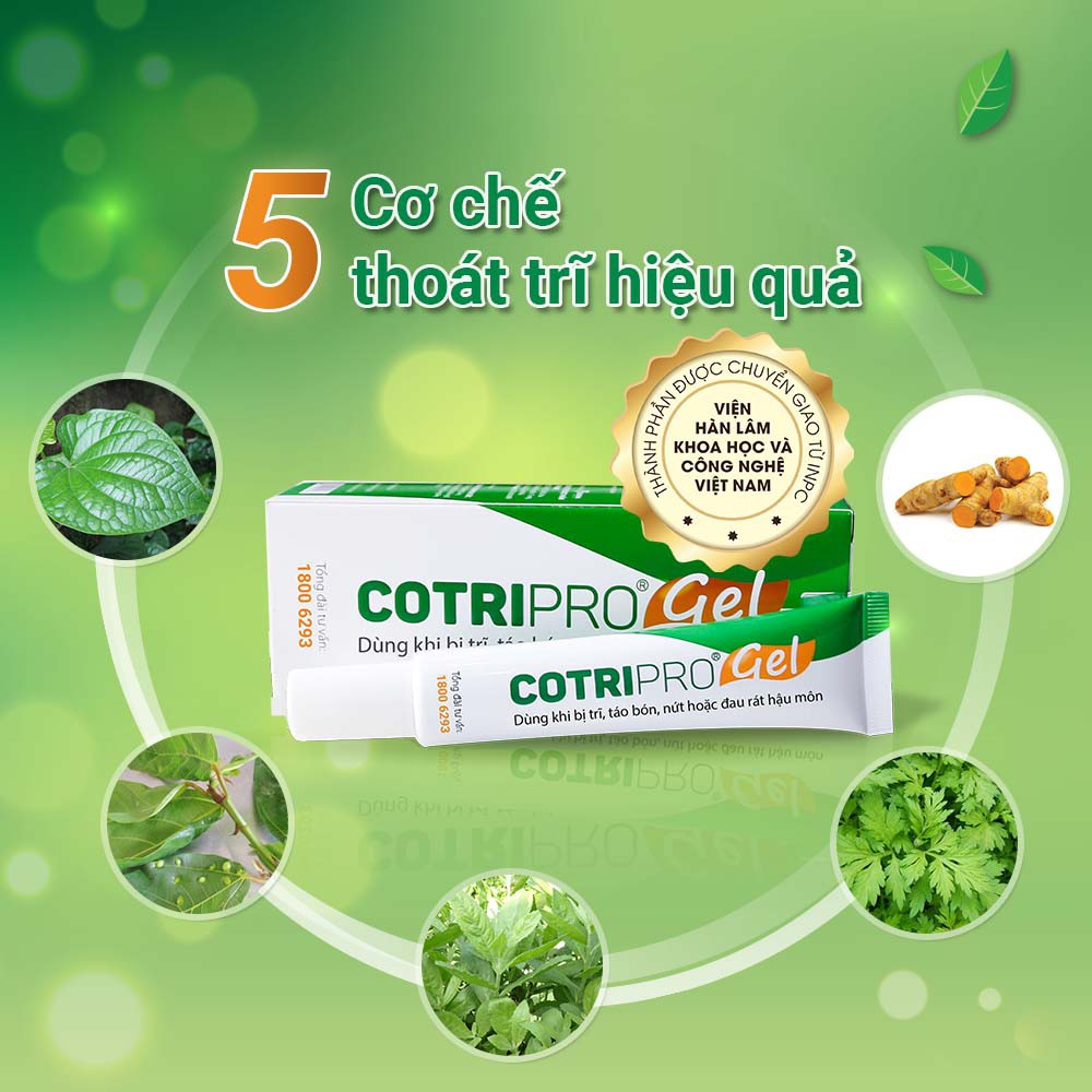 COTRIPRO gel 10g kem bôi trĩ