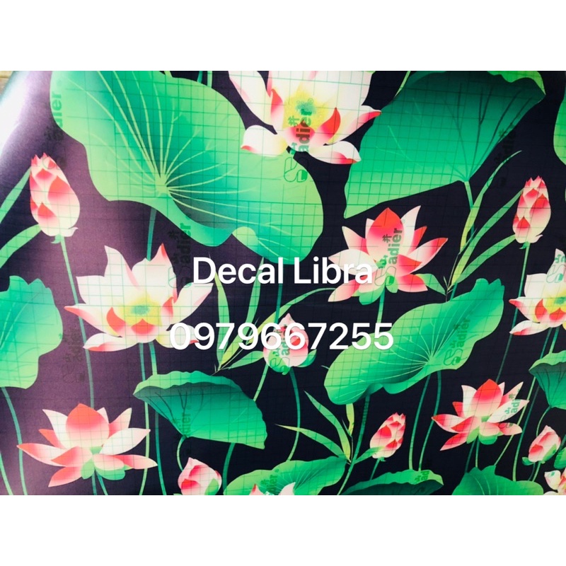 Decal hoa sen dán kiếng hàng in dày