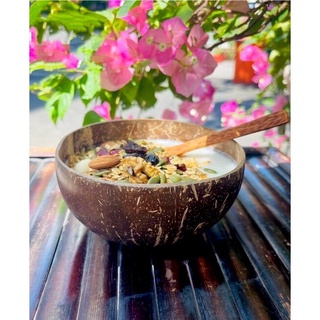 Combo Bát Trộn Gáo Dừa Handmade