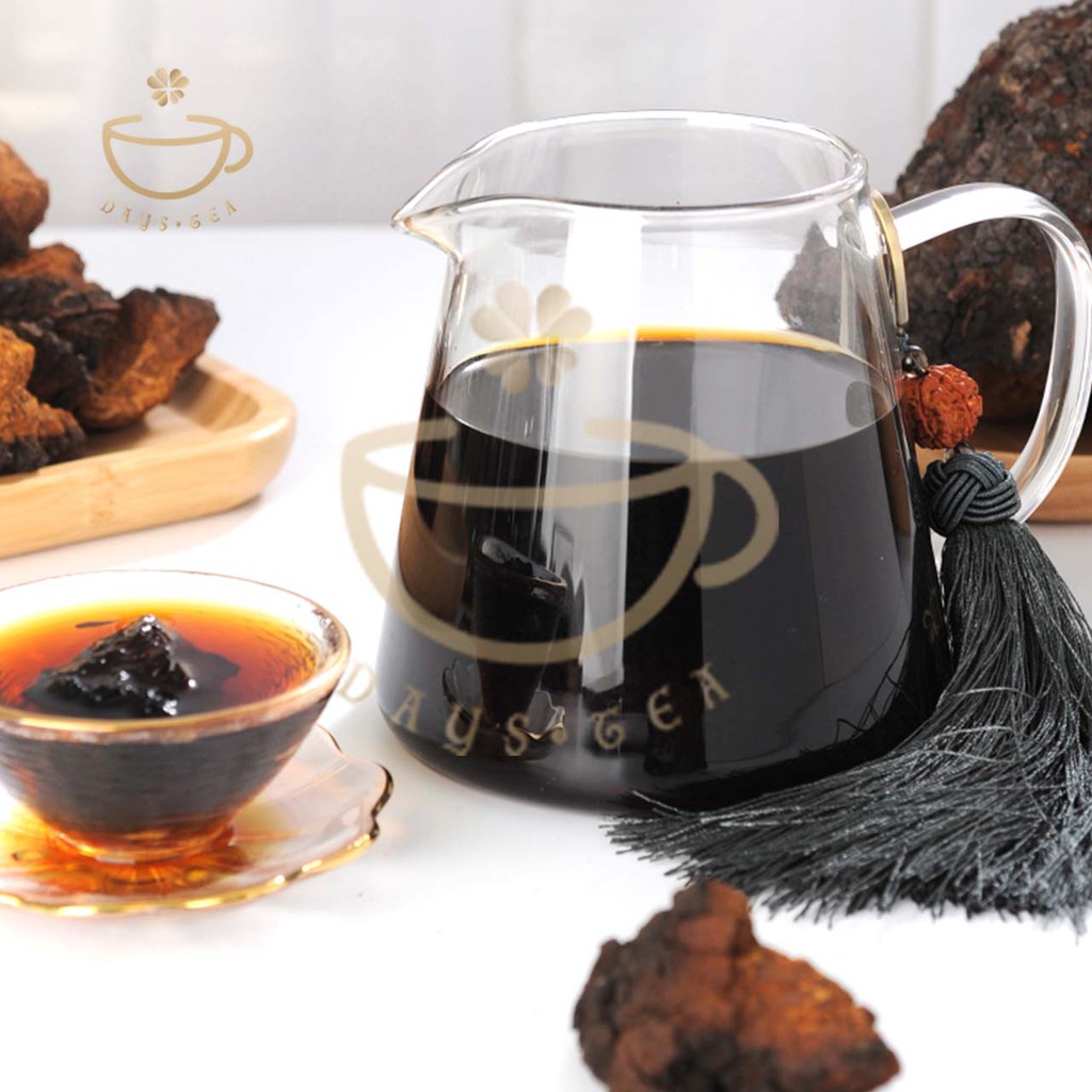 NẤM CHAGA 100G - HẠ ĐƯỜNG HUYẾT, GIẢM MỠ MÁU - Trà thảo mộc Daystea