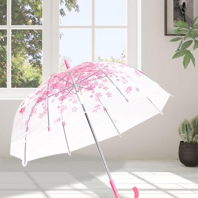 Dù che mưa trong suốt họa tiết hoa anh đào phong cách nhật hàn dễ thương