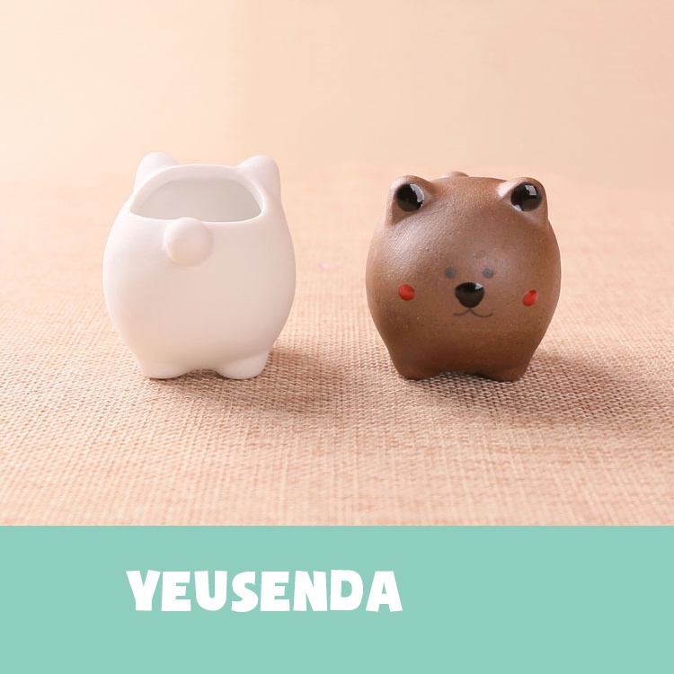 Chậu sen đá mini 5x7cm Gấu con dễ thương