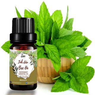 TINH DẦU BẠC HÀ 10ML 20 ML 50ML 100ML