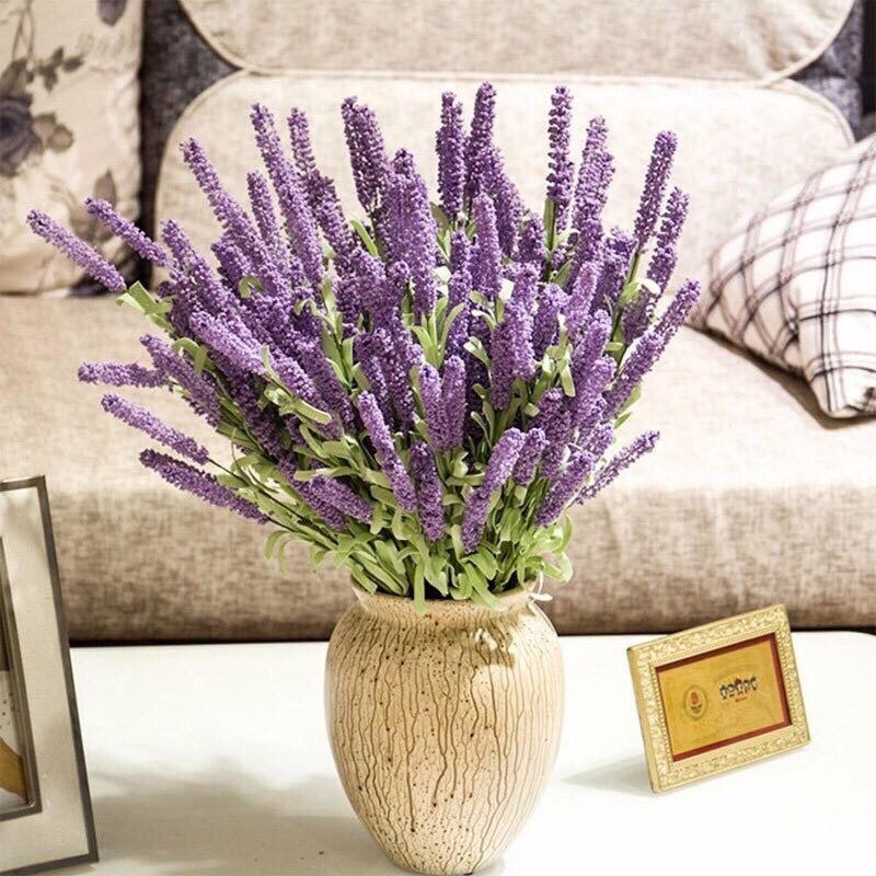 Cành hoa Lavender -oải hương siêu đẹp