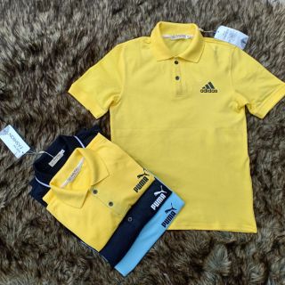 Áo phông nam có cổ, áo polo, áo thun có cổ,áo cổ bẻ ngắn tay💥💥💥